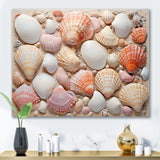 Seashell Contemporary Collage - Seashell Canvas Wall Art
