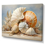 Seashells Contemporary Collage - Seashell Canvas Wall Art