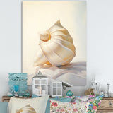 Seashell Minimalist Gems - Beige Seashell Wall Art