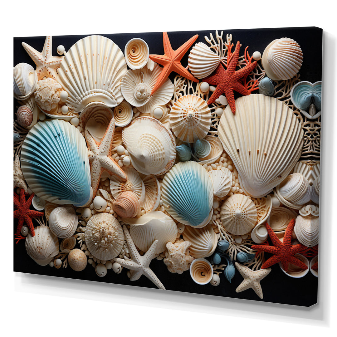 Seashell Collage - Seashell Framed Canvas Art