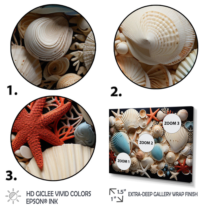Seashell Collage - Seashell Framed Canvas Art