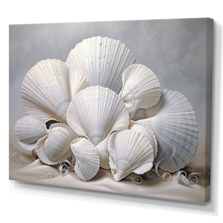 Monochromatic White Seashells - Seashell Home Decor Art