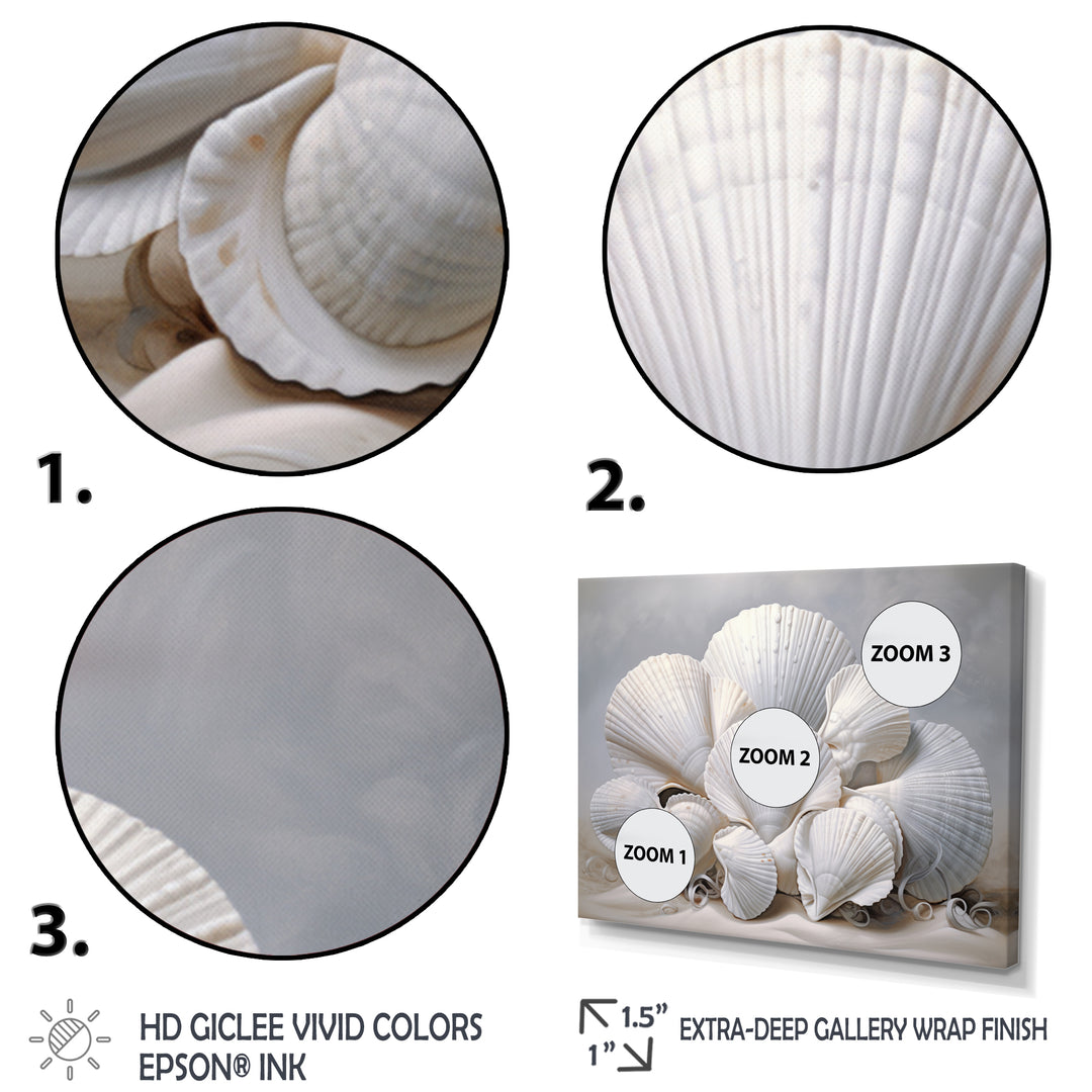 Monochromatic White Seashells - Seashell Home Decor Art