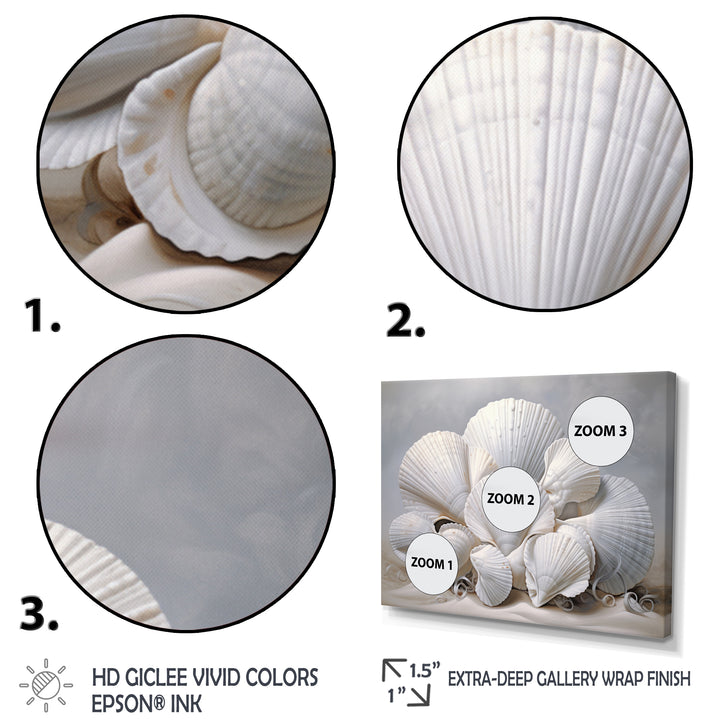 Monochromatic White Seashells - Seashell Home Decor Art
