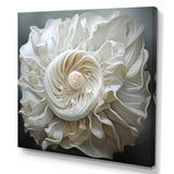 Monochromatic Seashells - Seashell Living Room Wall Art