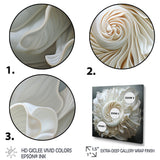 Monochromatic Seashells - Seashell Living Room Wall Art