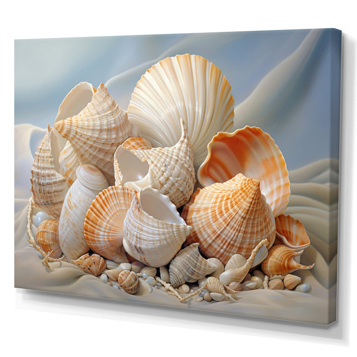 Photorealistic Seashells Collage - Seashell Canvas Wall Art