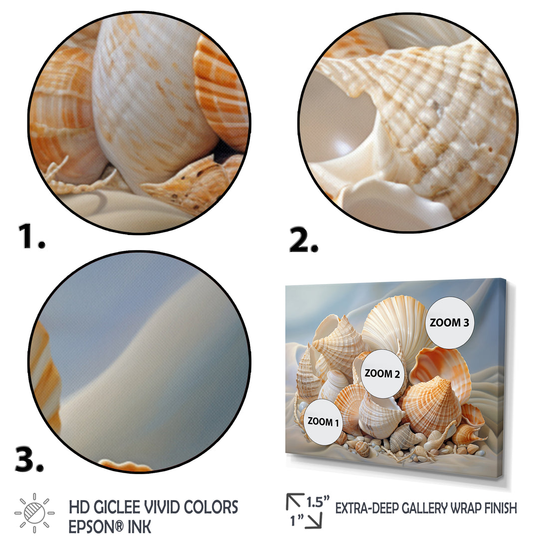 Photorealistic Seashells Collage - Seashell Canvas Wall Art