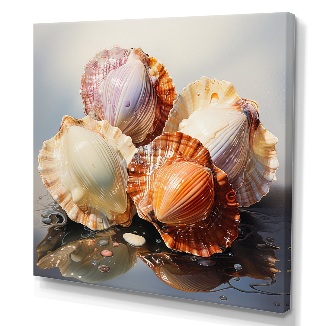 Realistic Seashells Collage - White Seashell Wall Art