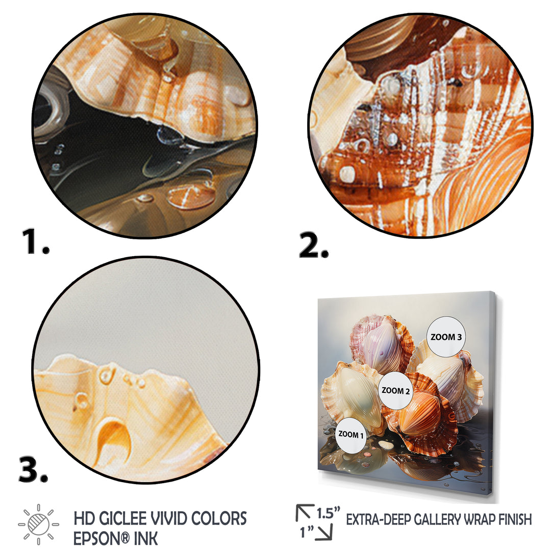 Realistic Seashells Collage - White Seashell Wall Art