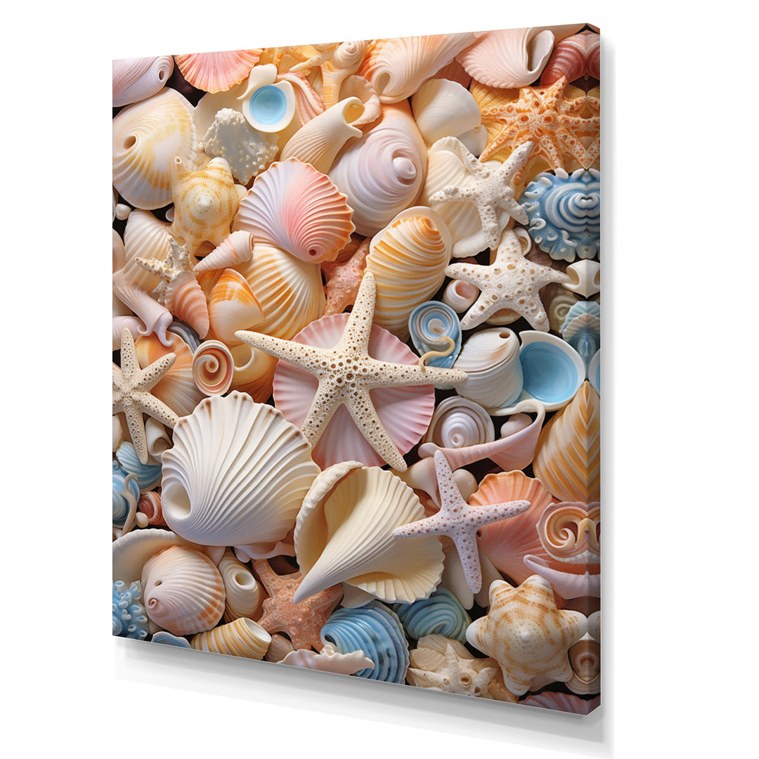 Seashell Realistic Treasures Realism - Multi-Color Seashell Wall Art