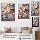 White Seashells Serenity Pastoral - Seashell Living Room Wall Art