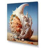Abstract Surreal Seashells - Seashell Canvas Wall Art