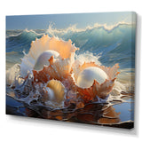 White Seashells On The Beach - Seashell Wall Decor