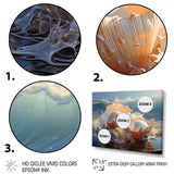 White Seashells On The Beach - Seashell Wall Decor