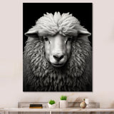 Grey White Sheep Black And White - Sheep Wall Art Prints