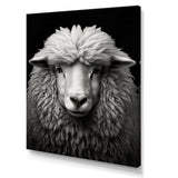 Grey White Sheep Black And White - Sheep Wall Art Prints