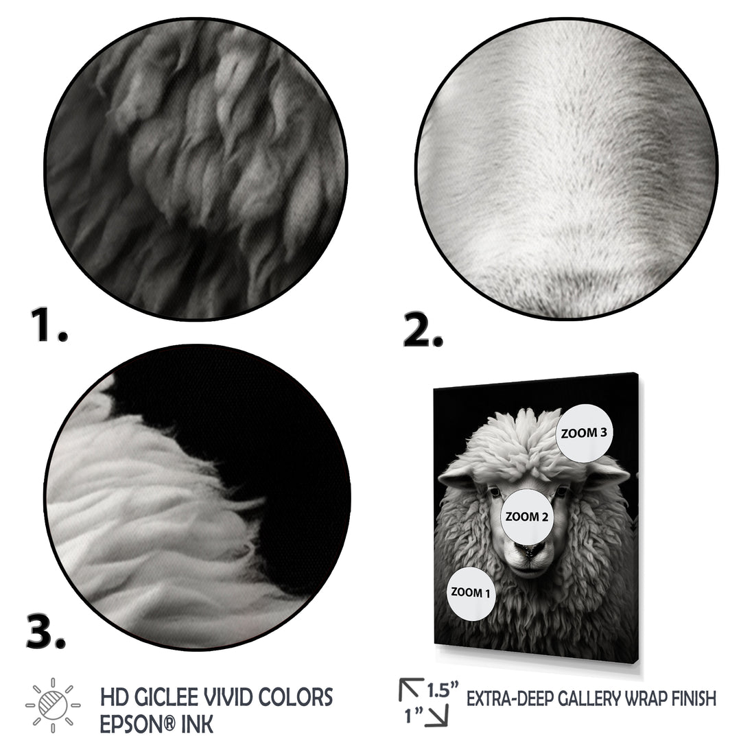Grey White Sheep Black And White - Sheep Wall Art Prints
