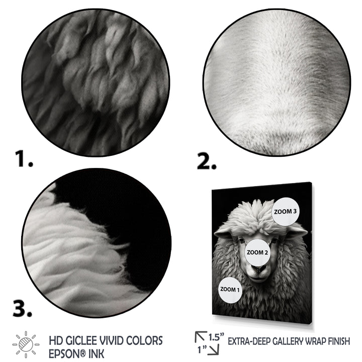 Grey White Sheep Black And White - Sheep Wall Art Prints