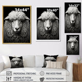 Grey White Sheep Black And White - Sheep Wall Art Prints