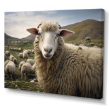 Sheep Environmental in Mountain - Sheep Bedroom Wall Art