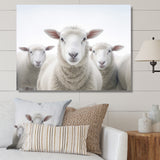 White Minimalist Whie Sheep's - Sheep Living Room Wall Art