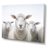 White Minimalist Whie Sheep's - Sheep Living Room Wall Art