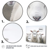 White Minimalist Whie Sheep's - Sheep Living Room Wall Art