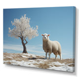 Sheep Minimalist Solitude - Sheep Wall Art Prints