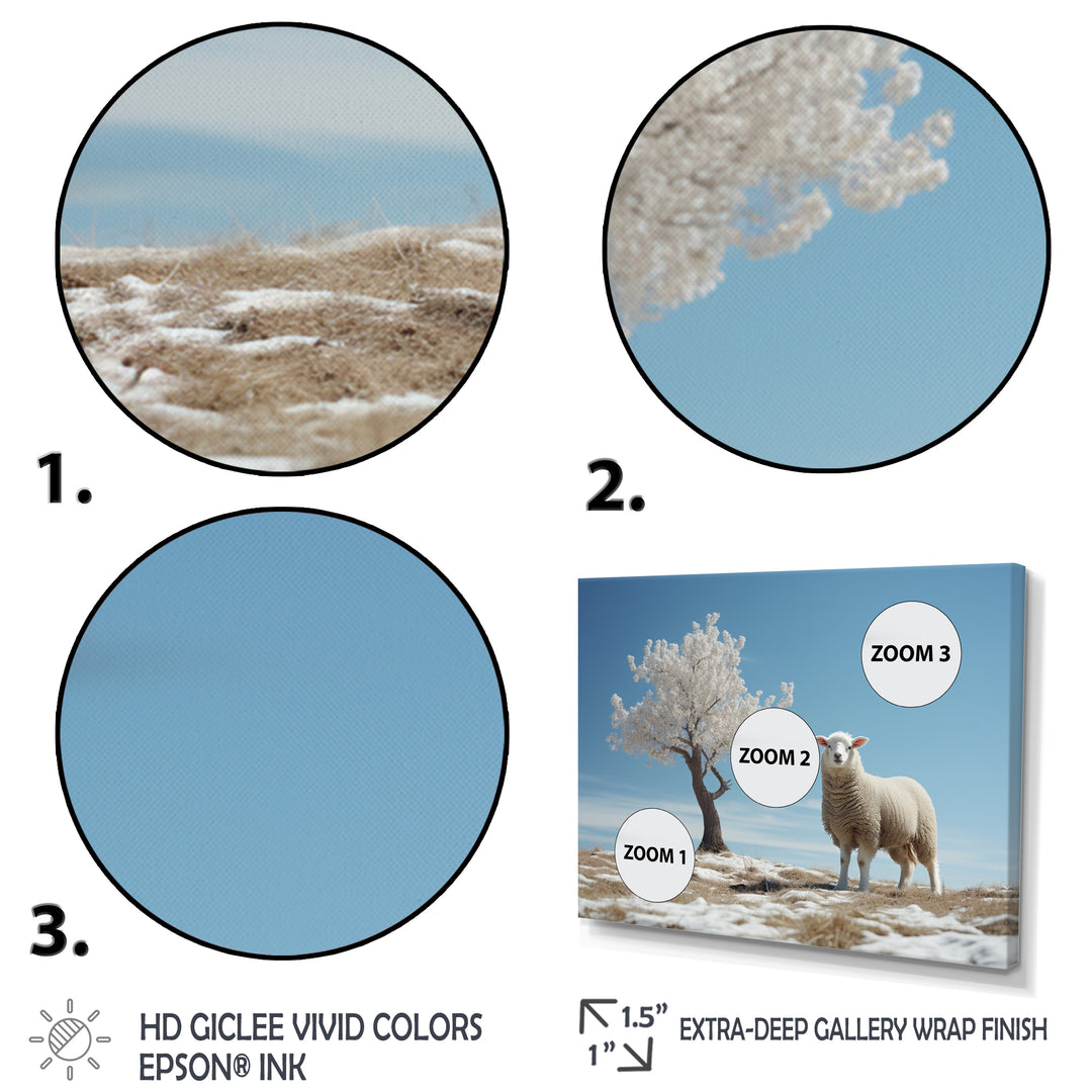 Sheep Minimalist Solitude - Sheep Wall Art Prints