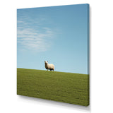 Sheep Minimalistic Solitude - Sheep Wall Art Prints