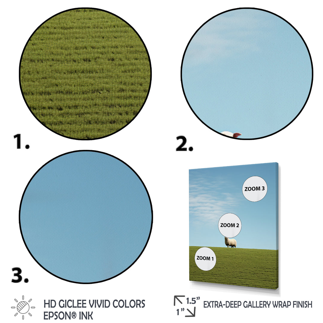 Sheep Minimalistic Solitude - Sheep Wall Art Prints