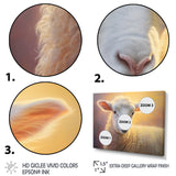 Sheep Pastel Portrait - Sheep Home Decor Art