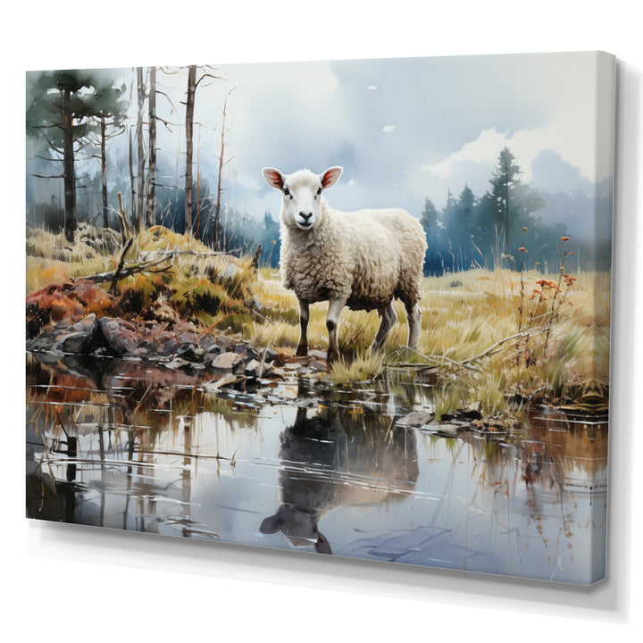 Sheep Reflection - Sheep Wall Art Prints