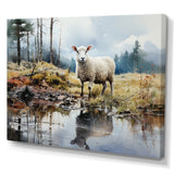 Sheep Reflection - Sheep Wall Art Prints