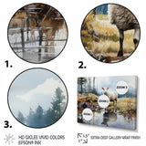 Sheep Reflection - Sheep Wall Art Prints