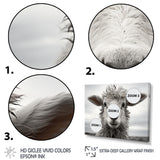 Sheep Serenity - Gray Sheep Wall Art