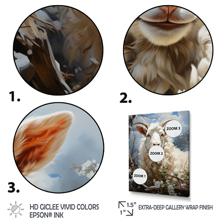 White Sheep&