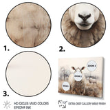 Sheep Silent Symphony - Animals Canvas Wall Art