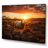Sheep Silhouette At Sunrise - Sheep Large Canvas Wall Art