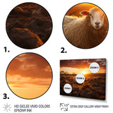 Sheep Silhouette At Sunrise - Sheep Large Canvas Wall Art