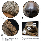 Cute Sloth Portrait - Brown Sloth Wall Art