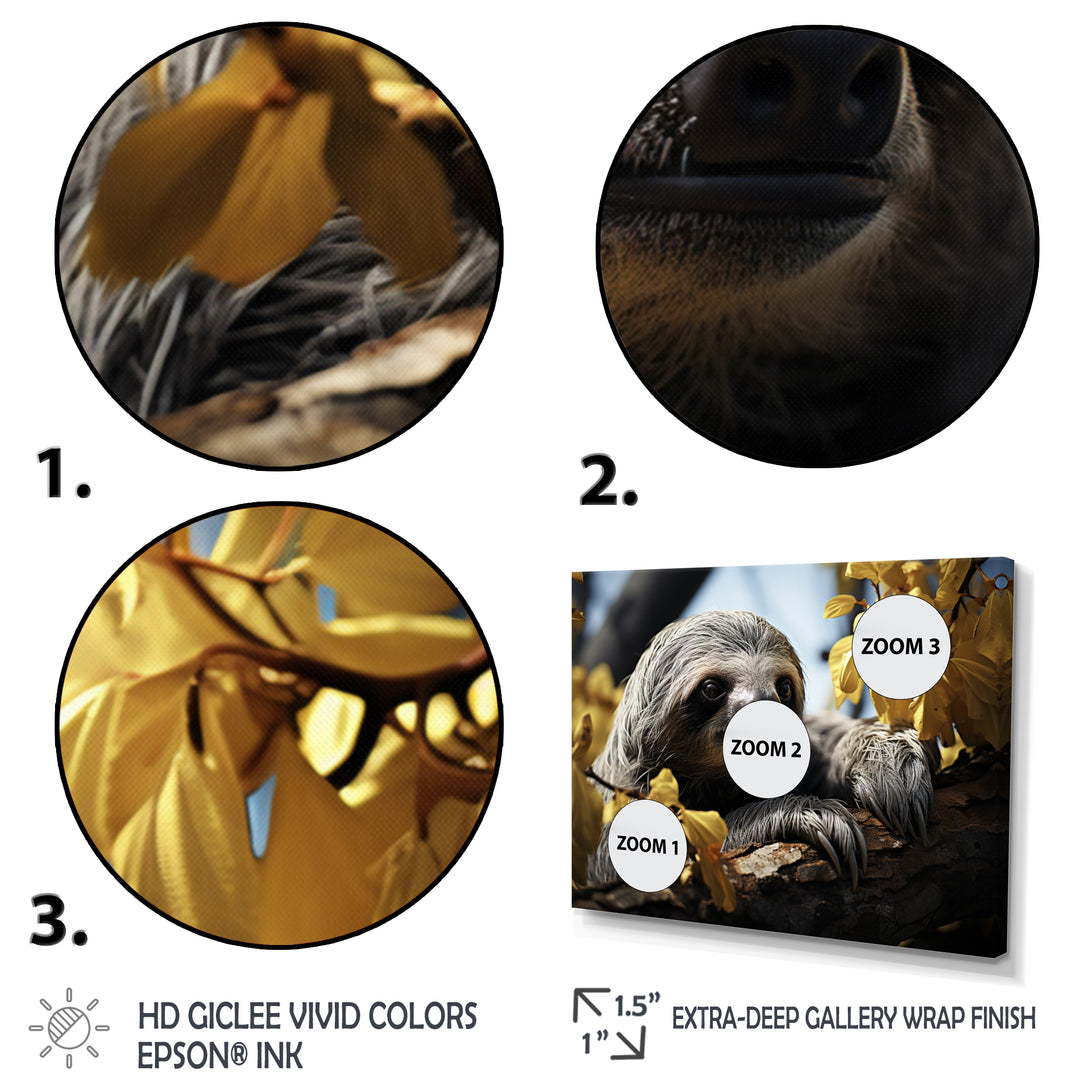 Sloth Slow Motion Portrait - Sloth Home Decor Art