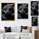Black Snake Vibrant Portrait - Snake Canvas Wall Art