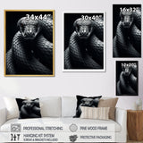 Black Snake Slithering Grace - Snake Wall Decor
