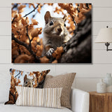 Grey Squirrel Squirrels Antics - Gray Squirrel Wall Art