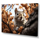 Grey Squirrel Squirrels Antics - Gray Squirrel Wall Art