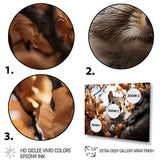 Grey Squirrel Squirrels Antics - Gray Squirrel Wall Art
