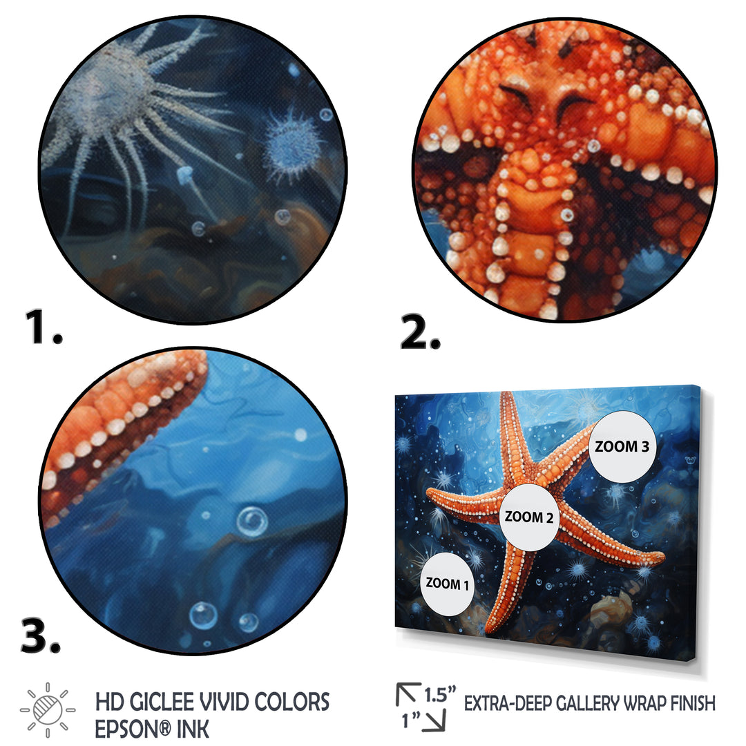 Coral Starfish Underwater - Starfish Living Room Wall Art