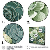 Green Succulents Flowers Serene Succulents IV - Floral Canvas Wall Art